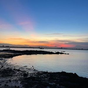 Meet your Posher, Owen